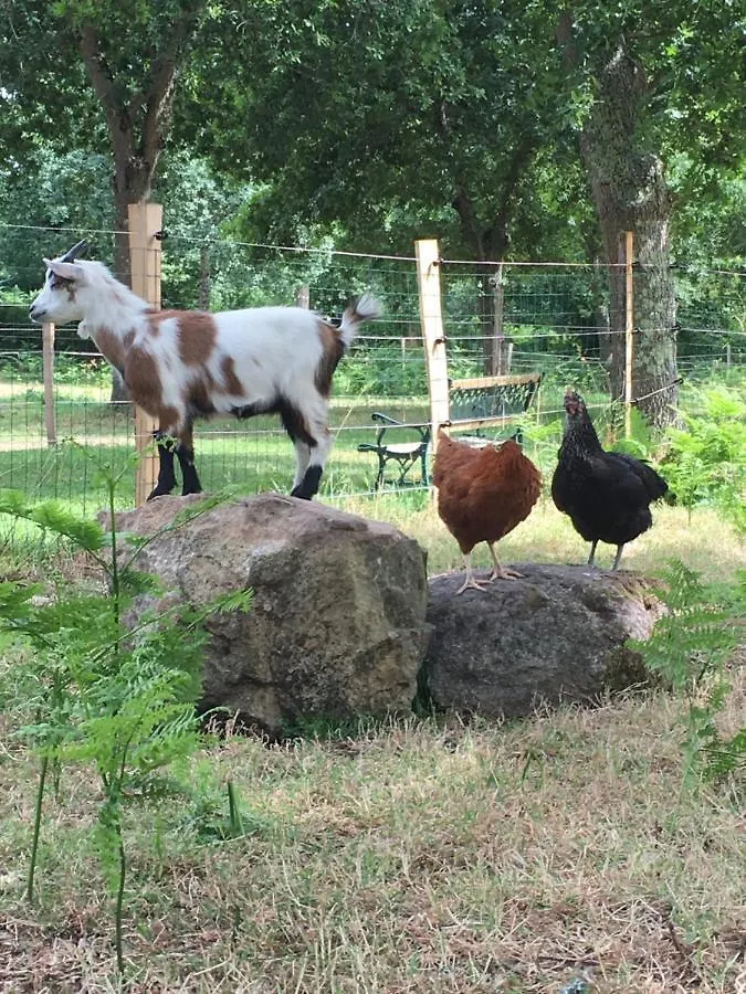 Les Fermes De Kercadoret Belz Bed & Breakfast