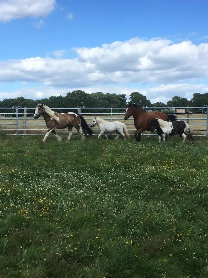 Les Fermes De Kercadoret Belz