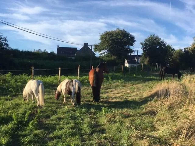 Les Fermes De Kercadoret Belz Frankrijk